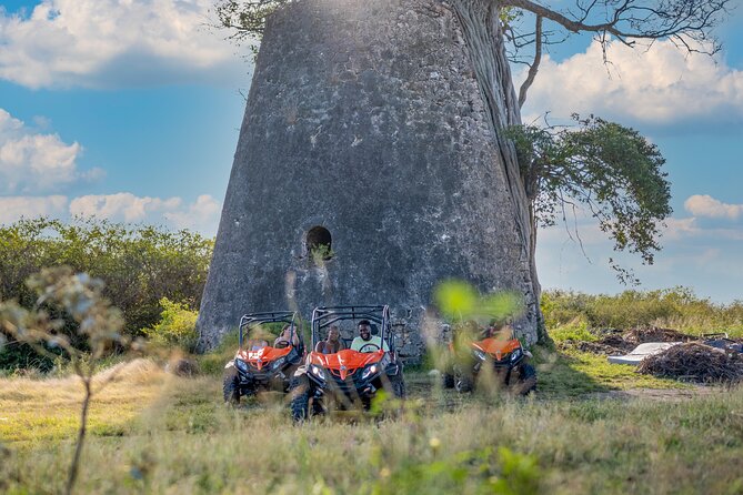 Private Buggy Excursion in Guadeloupe - Pricing and Group Size