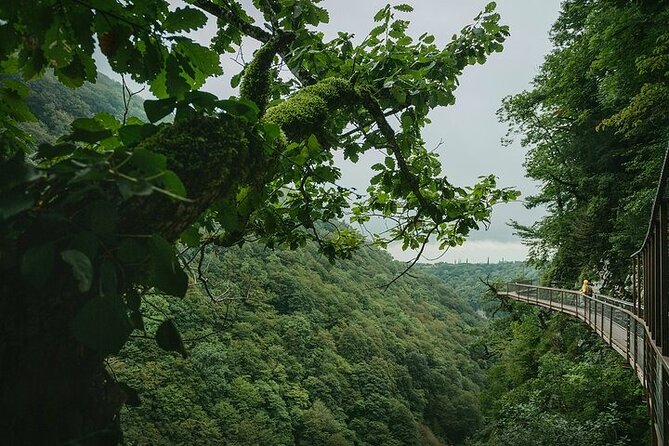 Private Canyon &Cave Tour From Batumi(Martvili,Okatse,Prometheus) - Customer Feedback and Insights