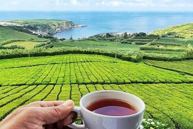 Private Car All of Furnas & Tea Plantation (Hot Springs Included) - Pricing and Booking