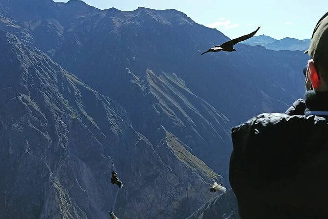 Private Colca Full-Day Tour From Arequipa - Explore Colca Canyon