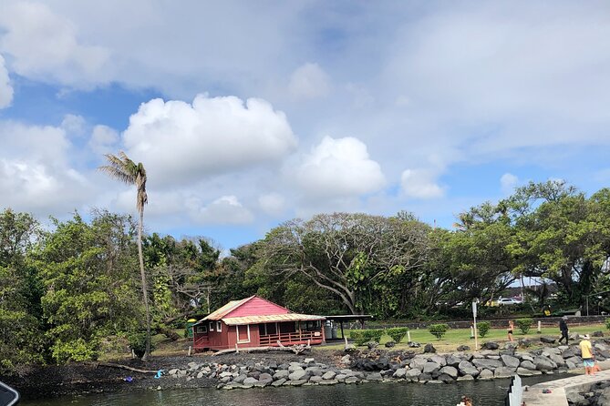 Private Day Tour From Hilo to Puna - Reviews Highlights
