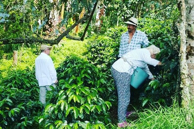 Private Day Tour of Jardín With Horseback Ride and Coffee Villa From Medellín - Exploring Jardin Town