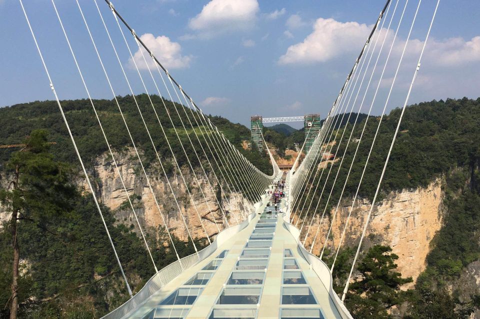 Private Day Tour to Tianmen Mountain & Sky Walk&Glass Bridge - Customer Feedback