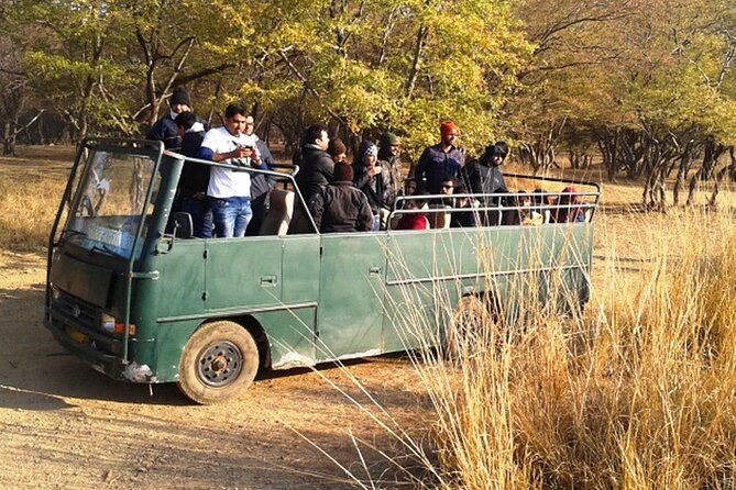 Private Day Trip to Ranthambore Tiger Reserve From Jaipur - Important Guidelines