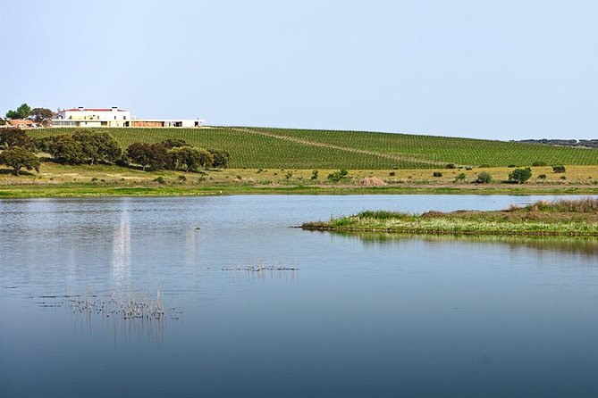 Private Evora Full Day Tour From Lisbon - Additional Information