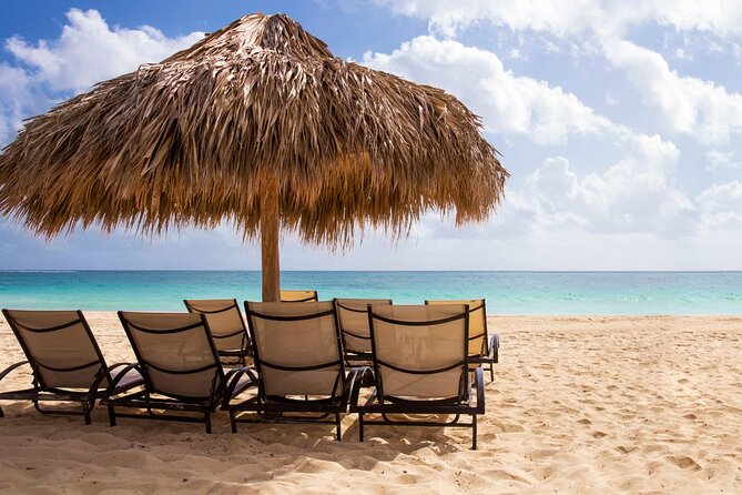 Private Full Day Beach Tour in Puerto Plata - Traveler Reviews