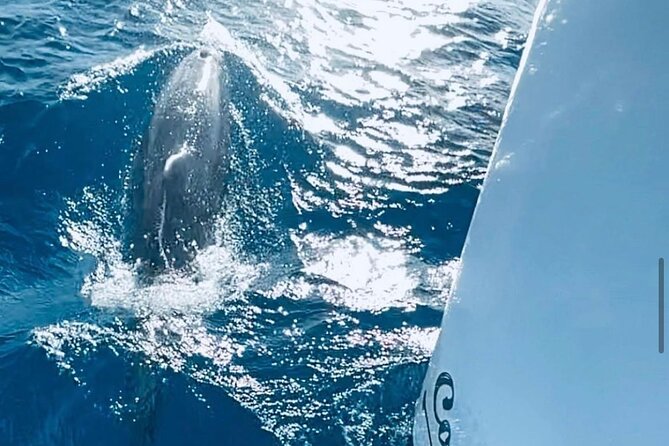 Private Full Day Boat Tour in St-Maarten - Scenic St-Maarten