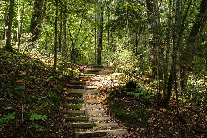 Private Full-Day Hiking Tour in Sigulda and Gauja National Park - Customer Reviews