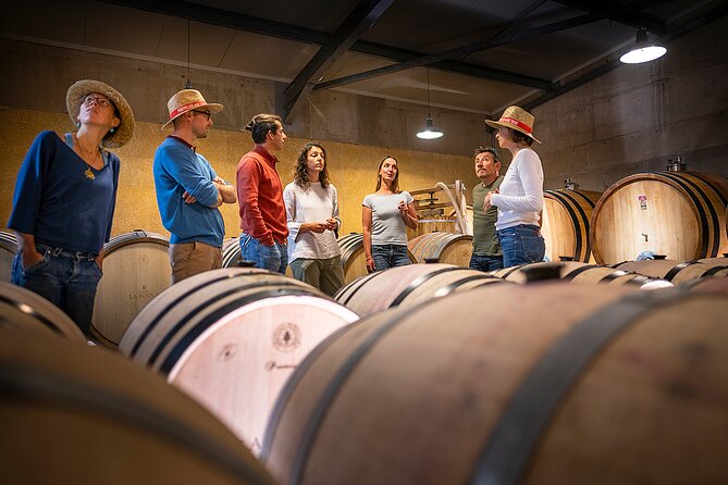 Private Full Day Pic Saint Loup Wine and Olive Tour With Lunch From Montpellier - Transportation and Group Size