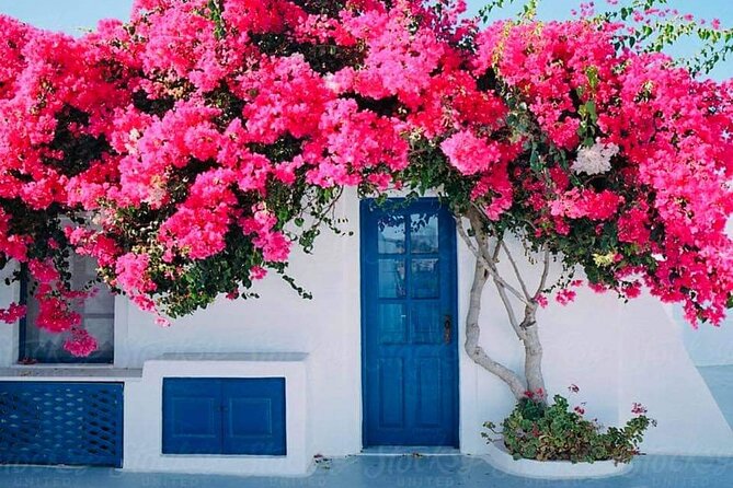 Private Full Day Rhodes Island Tour With Wine Tasting Experience - Competitive Pricing Details