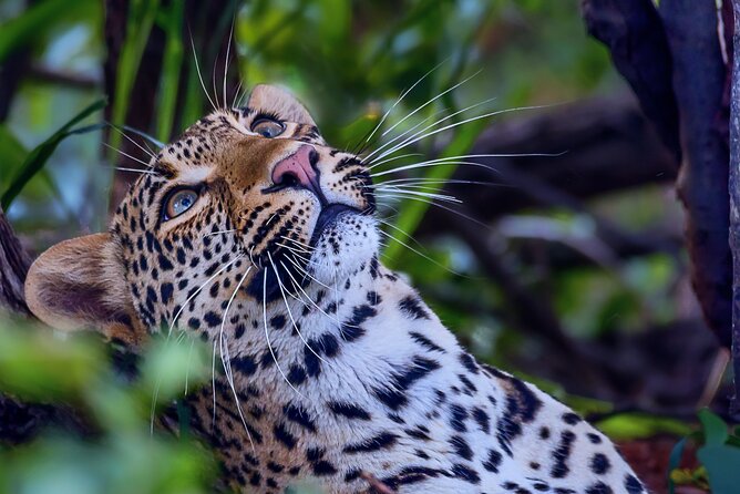 Private Full Day Safari (10 Hours) in Kruger National Park - Cancellation Policy
