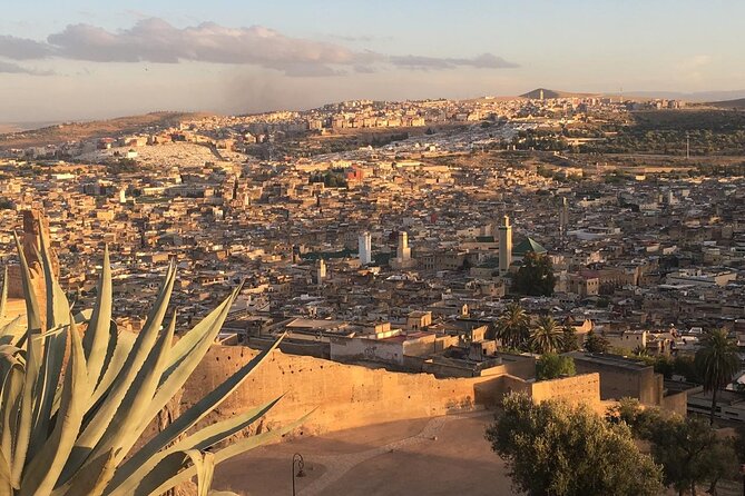 Private Full-Day Tour of the Authentic Medina of Fez - Exploring the Authentic Medina