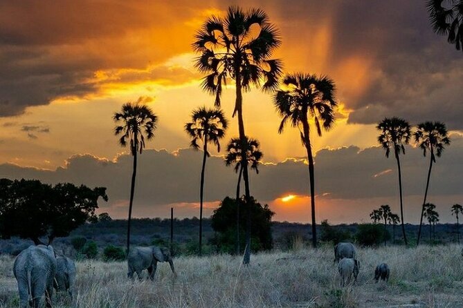Private Full-Day Trip to Mikumi National Park From Dar Es Salaam - Booking Information