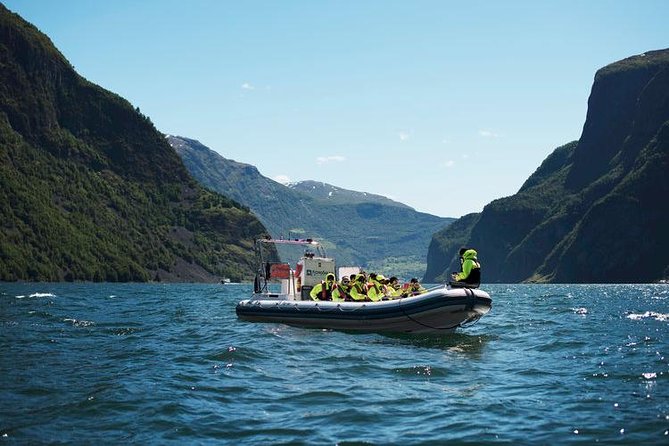 Private Guided Day Tour - RIB Nærøyfjord Safari & Flåm Railway - Scenic Train Journey