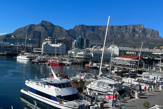 Private Guided Tour in Cape of Good Hope and Table Mountain - Customer Reviews and Ratings
