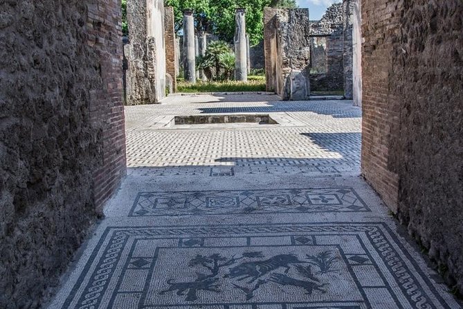 Private Guided Tour of Pompeii. Sunset Tour - Exploring Pompeii