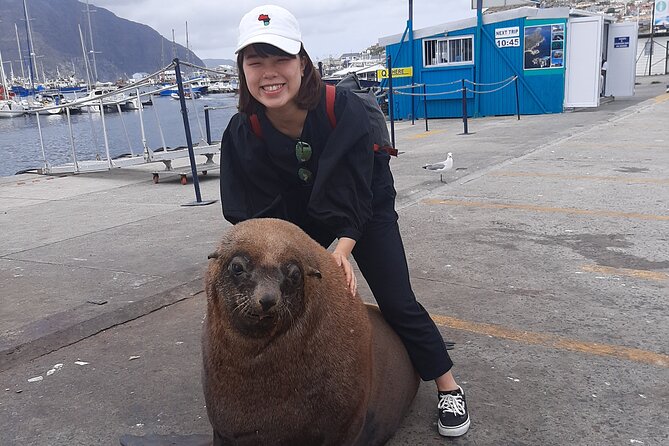 Private Guided Tour to Cape of Good Hope and Penguins Colony - Exploring the Cape of Good Hope