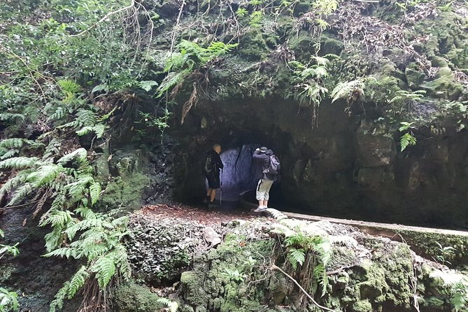 Private Guided Walk Levada Ribeira Da Janela - Contact and Support