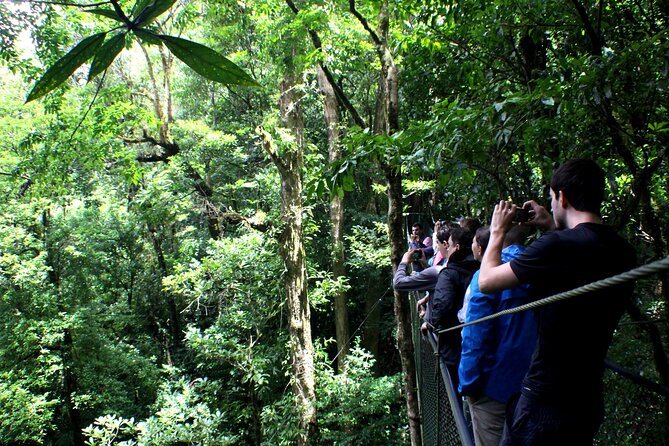 Private Half-Day Birding at Monteverde Cloud Forest - Preparing for Your Adventure