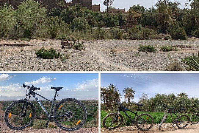 Private Half-Day Mountain Biking Excursion to Discover the Palm Grove of Skoura - Booking Information