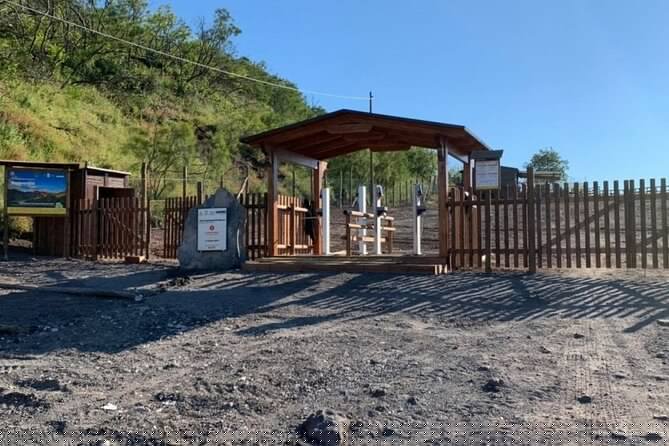 Private Half-Day Sightseeing Tour of Vesuvius National Park - Verified Guest Reviews