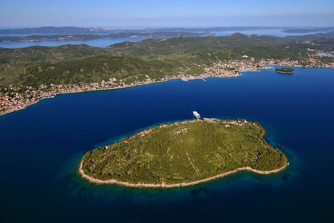 Private Half-Day Swimming Cruise From Zadar(10-12)People - Guest Feedback and Ratings