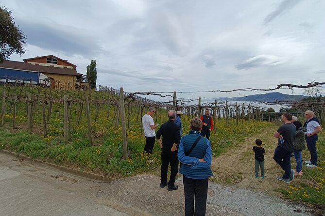 Private Half Day Txakoli Wine Tour & Getaria Fishing Village - Booking Information and Policies