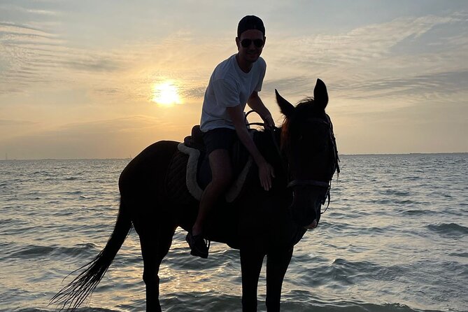 Private Horse Riding Experience at Red Sea - Pricing and Cancellation Policy