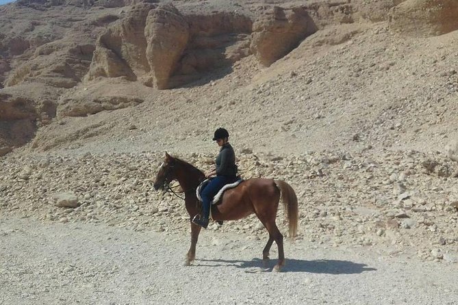 Private Horse Riding Tour in Luxor West Bank - Reviews and Feedback