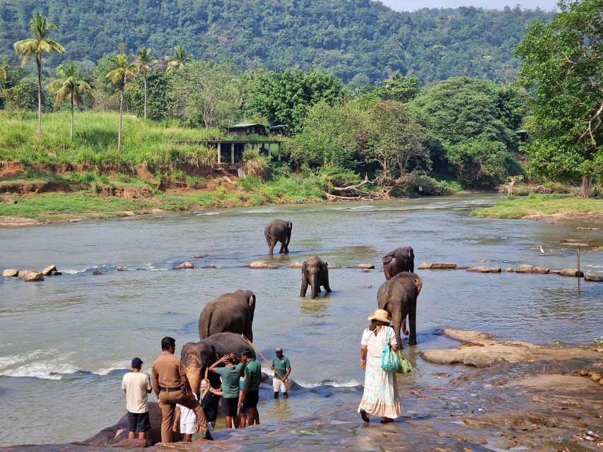 Private Kandy Pinnawala Day Tour From Bentota - Chauffeur Guide and Bottled Water