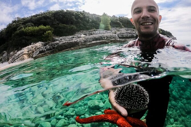 Private Kayak Tour: Explore the Caves and Turquoise Bays in Pula - Why Choose This Tour