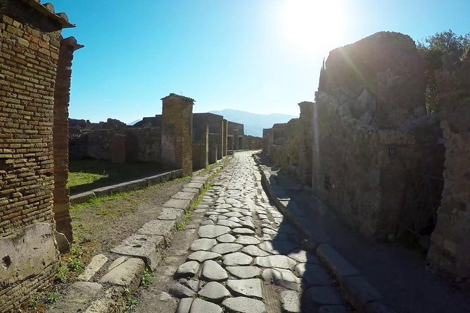 Private Mt Vesuvius and Pompeii With Lunch and Wine Farm Experience - Visiting the Pompeii Site