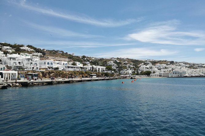Private Mykonos Island Sightseeing Tour. - Exceptional Customer Reviews