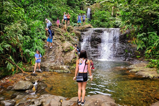 Private Rainforest Waterfalls and Beach Hiking Tour From San Juan - Pricing and Booking