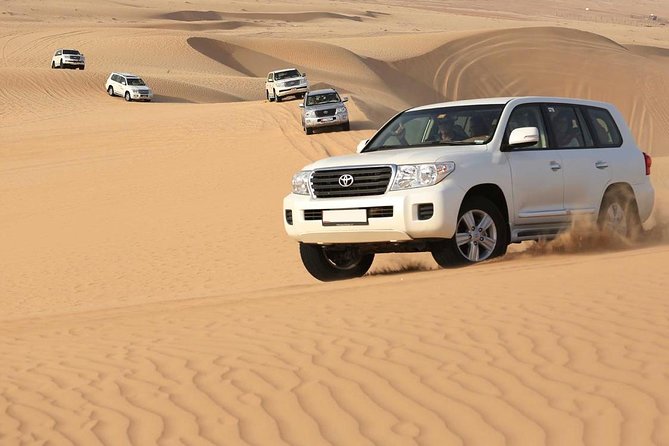 PRIVATE Red Dune Desert Safari, BBQ Dinner, Camel Ride & Falcon Photo - Highlights and Experiences