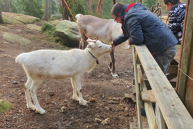 PRIVATE Reindeer Park Adventure by VIP Car - About Nuuksio National Park