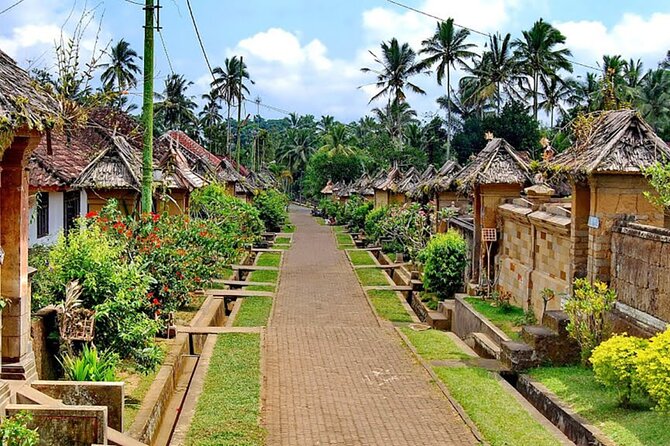 Private Shore Excursion: Bali Cultural Tour Including Tegalalang Rice Terraces and Tirta Empul Temple - Tour Inclusions