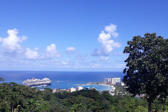 Private Sightseeing Tour in Ocho Rios - Reviews and Ratings