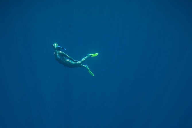 Private Snorkeling Experience in Aqaba Red Sea - Aqaba Snorkeling Gear and Equipment