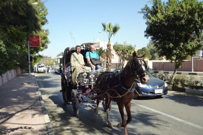 Private Sound and Light Show and Luxor City Tour by Carriage (3 * 1) - Pricing Information