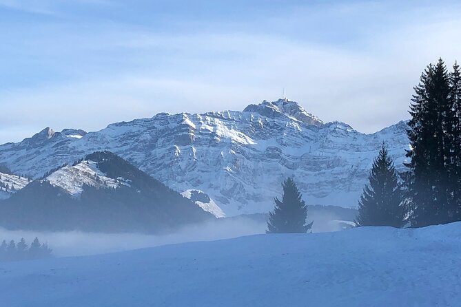 Private Swiss Chocolate, Cheese, Mountain Santis Tour With Pickup - Stunning Swiss Scenery and Culture