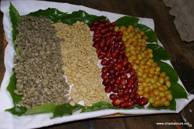 Private Tour in an Authentic, Ecological Local Coffee Finca. - Local Community and Economy