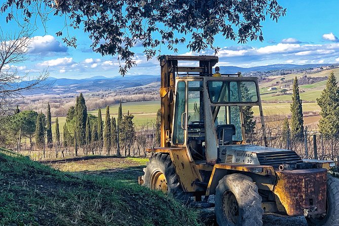 Private Tour: Montalcino Wine Tasting Experience - Age and Accessibility
