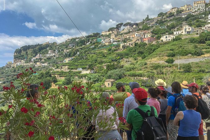 Private Tour: The Path of the Lemons - Exploring the Amalfi Coast