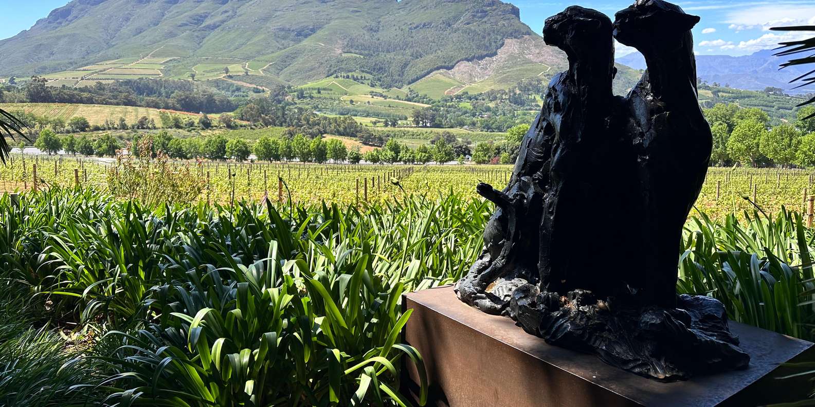 Private Tour to 20 Wine Tasting in Stellenbosch &Franschhoek - Inclusions and Exclusions