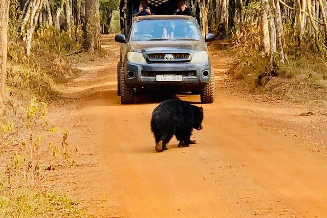 Private Udawalawe Nationalpark Jeep-Safari - Customer Reviews and Feedback