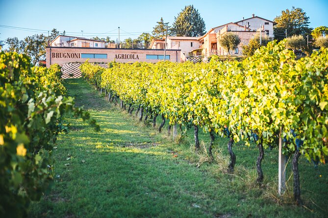 Private Visit to the Brugnoni Winery With Tasting of 4 Wines - Platter of Local Products