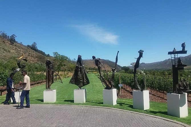 Private Wine Tasting Cape Town Wineries Stellenbosch Franschoek Paarl Full Day - Packing Recommendations
