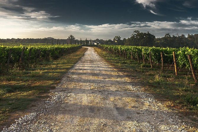Private Winery Tour of Niagara-on-the-Lake - Transportation Details