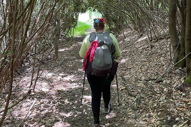 Privately Guided Full Day Hike - Cancellation Policy